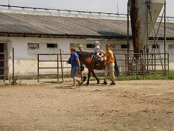 Vytvořeno: 16. června 2006 13:30:36 